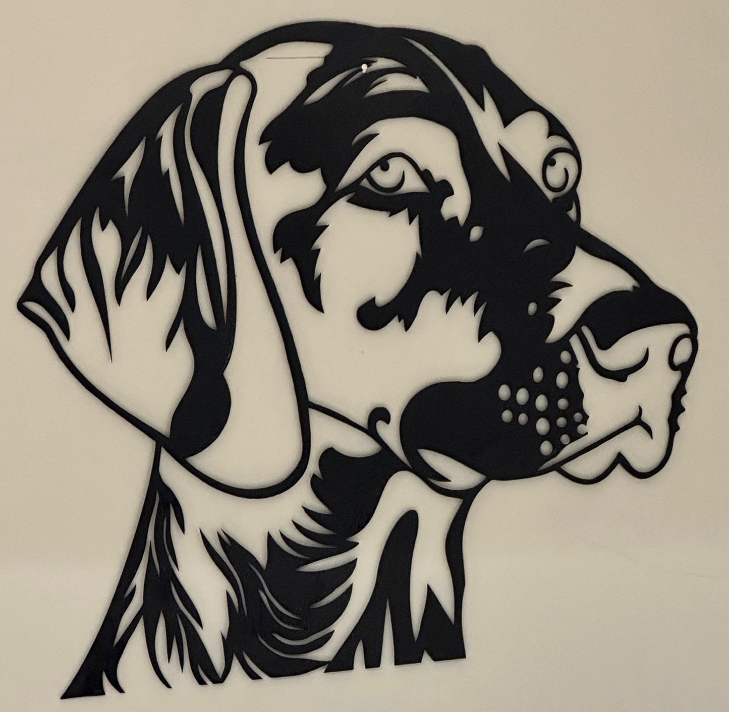 German Shorthaired Pointer