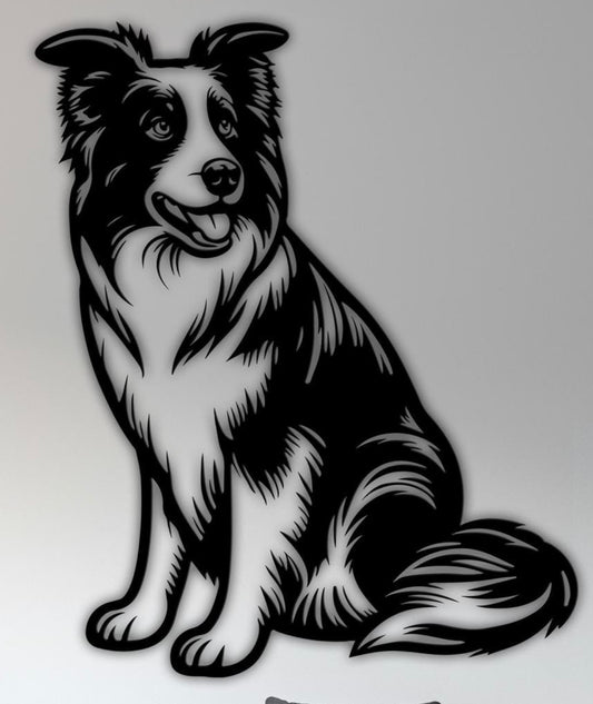 Collie Full Body